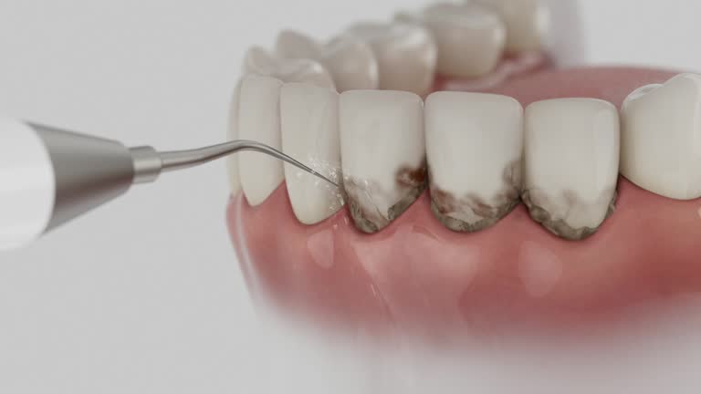Reliable Dental contractor in Lugoff, SC by Dentist Open Now